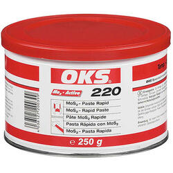 MOS2-Paste Rapid 250g OKS220